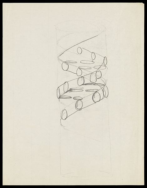 File:Pencil sketch of the DNA double helix by Francis Crick.jpg