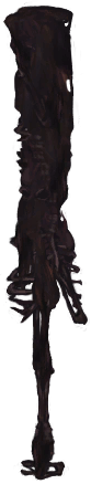 File:WP21.png