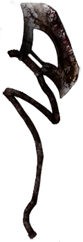 File:WP5.png