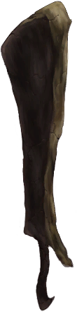 File:WP22.png