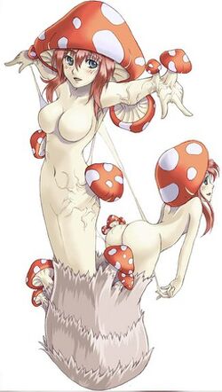 034玛坦戈.jpg