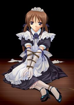 Murakami suigun 02.jpg