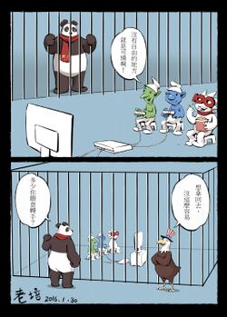 挂号台-笼里笼外.jpg
