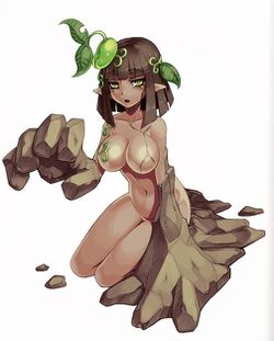 088诺姆.jpg